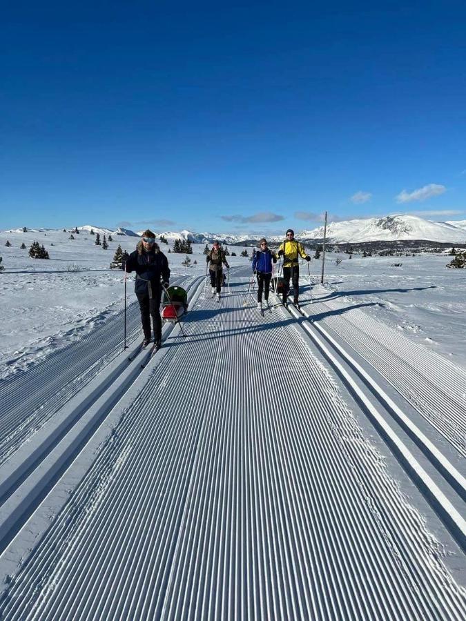 Golsfjellet - Bualie, Milevis Med Sykkelveier, Fiske Og Vannaktivitet, Ski Inn/Ut Til Alpinanlegg Og Langrennsloyper. Экстерьер фото