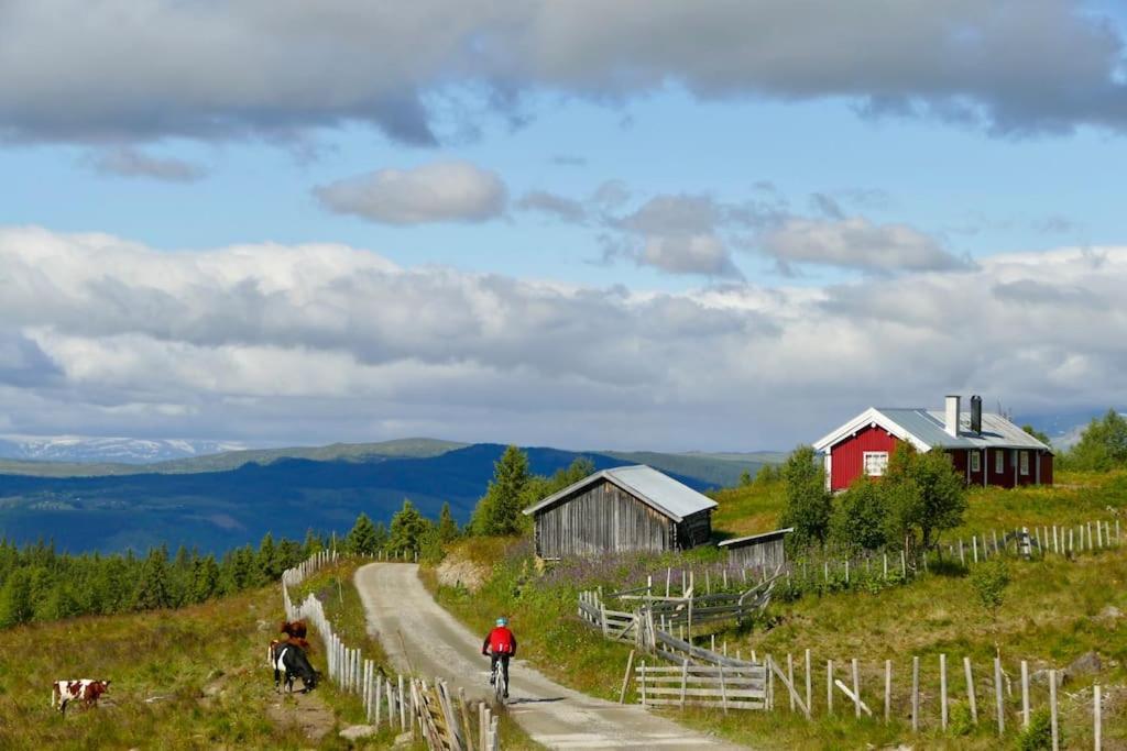 Golsfjellet - Bualie, Milevis Med Sykkelveier, Fiske Og Vannaktivitet, Ski Inn/Ut Til Alpinanlegg Og Langrennsloyper. Экстерьер фото