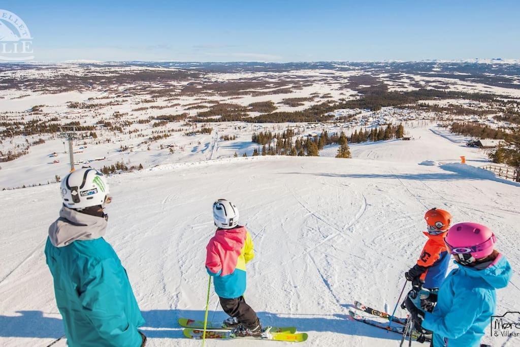 Golsfjellet - Bualie, Milevis Med Sykkelveier, Fiske Og Vannaktivitet, Ski Inn/Ut Til Alpinanlegg Og Langrennsloyper. Экстерьер фото