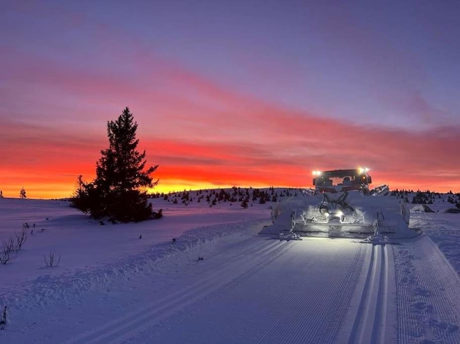 Golsfjellet - Bualie, Milevis Med Sykkelveier, Fiske Og Vannaktivitet, Ski Inn/Ut Til Alpinanlegg Og Langrennsloyper. Экстерьер фото