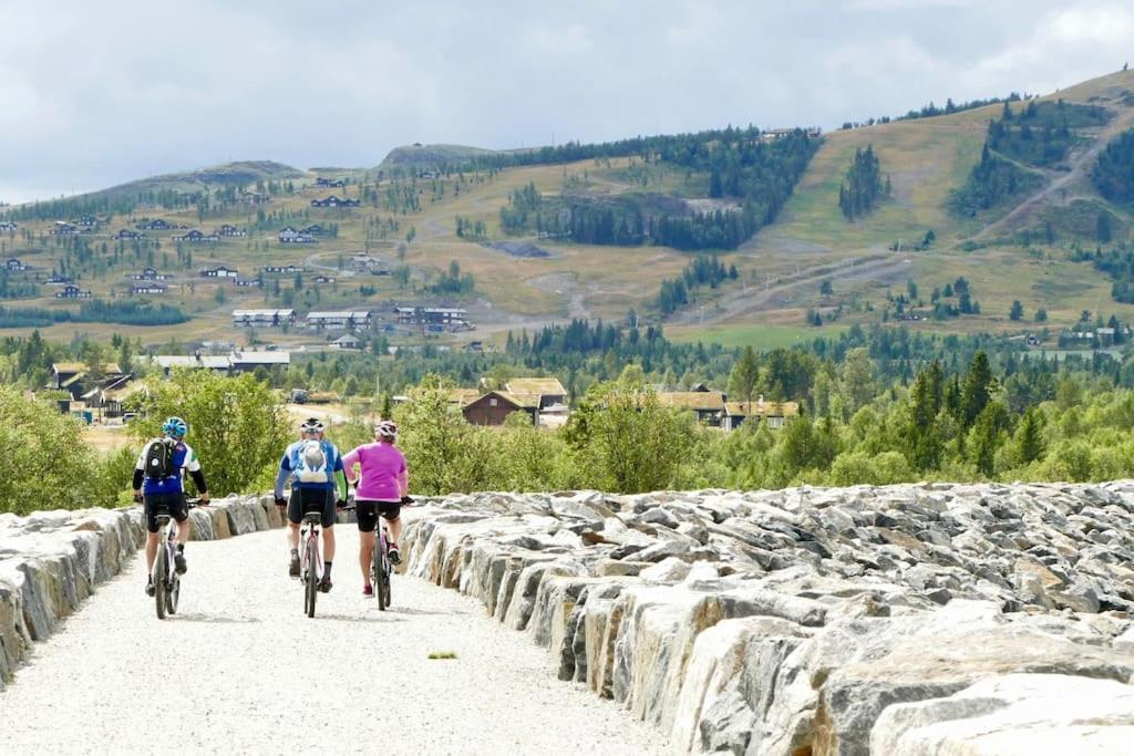 Golsfjellet - Bualie, Milevis Med Sykkelveier, Fiske Og Vannaktivitet, Ski Inn/Ut Til Alpinanlegg Og Langrennsloyper. Экстерьер фото