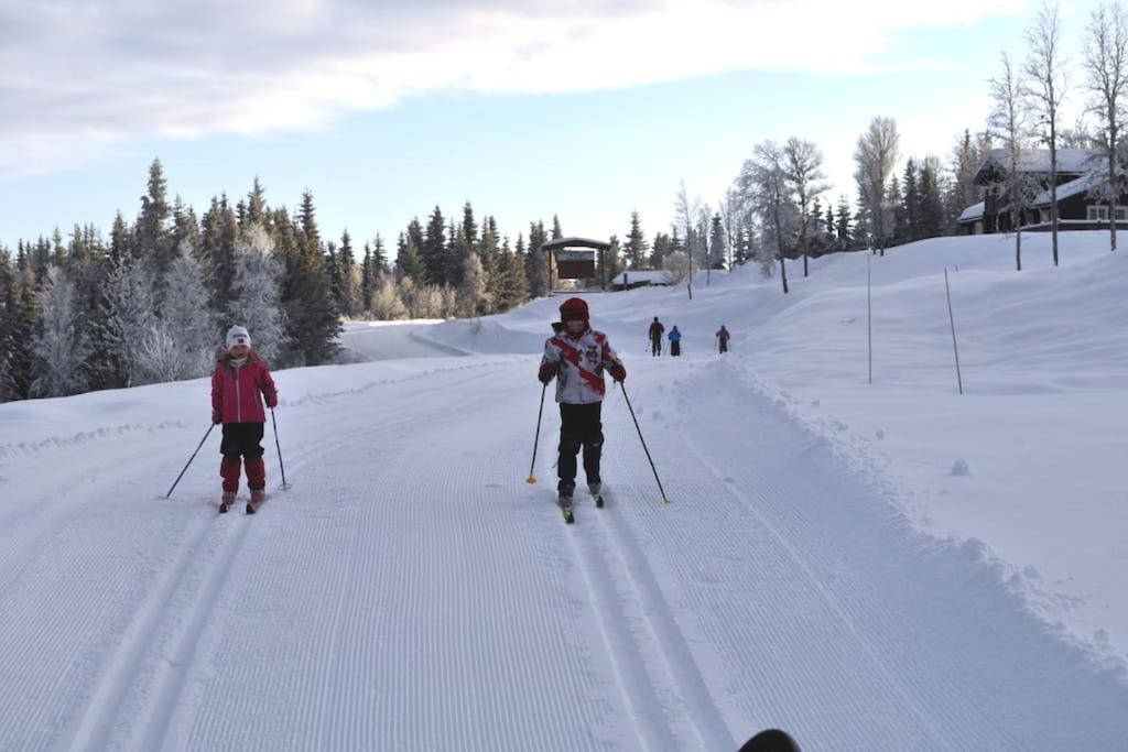 Golsfjellet - Bualie, Milevis Med Sykkelveier, Fiske Og Vannaktivitet, Ski Inn/Ut Til Alpinanlegg Og Langrennsloyper. Экстерьер фото